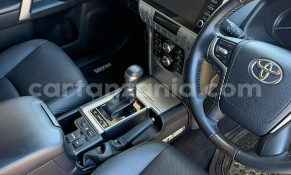 Buy New Toyota Prado White Car in Dar es Salaam in Dar es Salaam Buy New Toyota Prado White Car in Dar es Salaam in Dar es Salaam