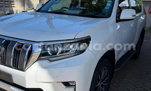 Buy New Toyota Prado White Car in Dar es Salaam in Dar es Salaam Buy New Toyota Prado White Car in Dar es Salaam in Dar es Salaam