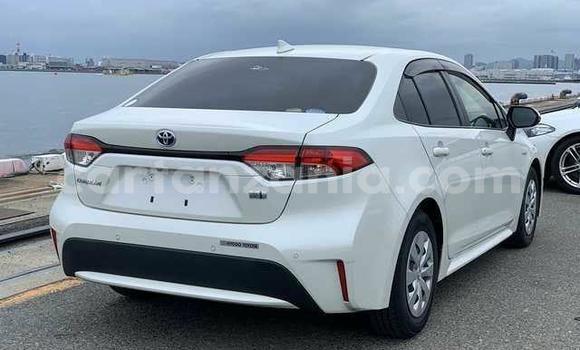 Buy Import Toyota Corolla White Car in Dar es Salaam in Dar es Salaam Buy Import Toyota Corolla White Car in Dar es Salaam in Dar es Salaam