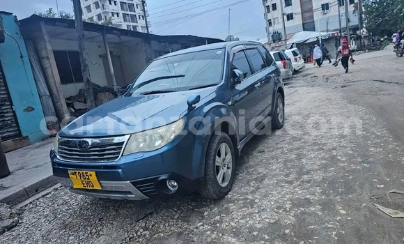 Nunua Ilio tumika Subaru Forester Nyingine Gari ndani ya Dar es Salaam nchini Dar es Salaam Nunua Ilio tumika Subaru Forester Nyingine Gari ndani ya Dar es Salaam nchini Dar es Salaam