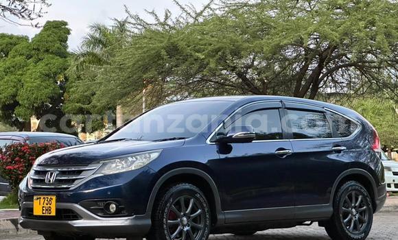 Nunua Ilio tumika Honda CR–V Bluu Gari ndani ya Dar es Salaam nchini Dar es Salaam Nunua Ilio tumika Honda CR–V Bluu Gari ndani ya Dar es Salaam nchini Dar es Salaam
