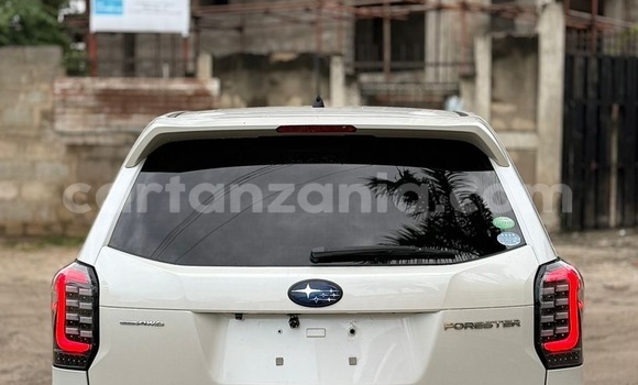 Nunua Imported Subaru Forester Nyeupe Gari ndani ya Dar es Salaam nchini Dar es Salaam Nunua Imported Subaru Forester Nyeupe Gari ndani ya Dar es Salaam nchini Dar es Salaam
