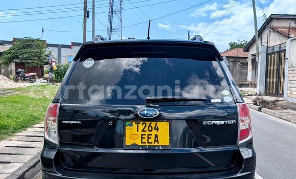 Buy Used Subaru Forester Black Car in Dar es Salaam in Dar es Salaam Buy Used Subaru Forester Black Car in Dar es Salaam in Dar es Salaam