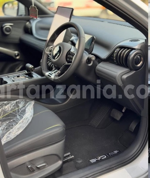 Big with watermark byd atto3 dar es salaam dar es salaam 32985