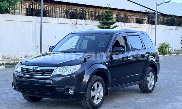 Buy Import Subaru Forester Black Car in Dar es Salaam in Dar es Salaam Buy Import Subaru Forester Black Car in Dar es Salaam in Dar es Salaam