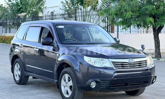 Buy Import Subaru Forester Black Car in Dar es Salaam in Dar es Salaam Buy Import Subaru Forester Black Car in Dar es Salaam in Dar es Salaam