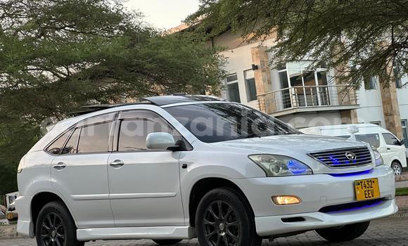 Nunua Ilio tumika Toyota Harrier Nyeupe Gari ndani ya Ilala nchini Dar es Salaam Nunua Ilio tumika Toyota Harrier Nyeupe Gari ndani ya Ilala nchini Dar es Salaam