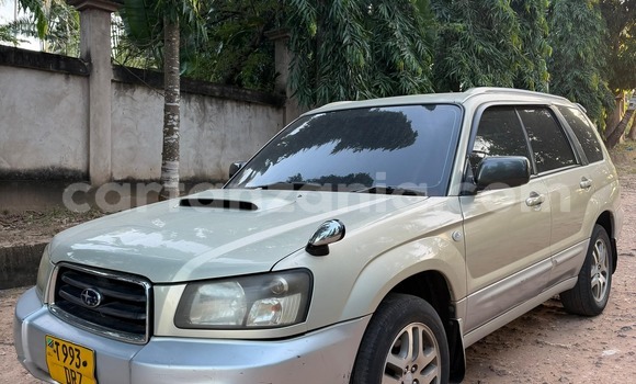 Buy Used Subaru Forester Silver Car in Dar es Salaam in Dar es Salaam