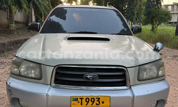 Buy Used Subaru Forester Silver Car in Dar es Salaam in Dar es Salaam Buy Used Subaru Forester Silver Car in Dar es Salaam in Dar es Salaam