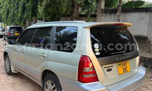 Buy Used Subaru Forester Silver Car in Dar es Salaam in Dar es Salaam Buy Used Subaru Forester Silver Car in Dar es Salaam in Dar es Salaam