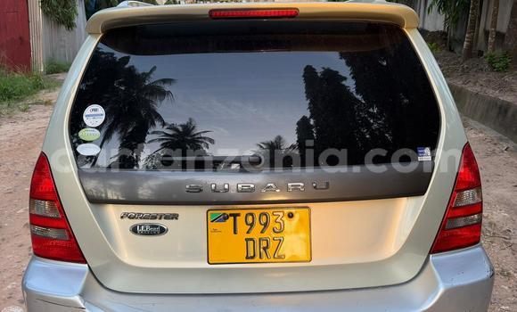 Buy Used Subaru Forester Silver Car in Dar es Salaam in Dar es Salaam Buy Used Subaru Forester Silver Car in Dar es Salaam in Dar es Salaam