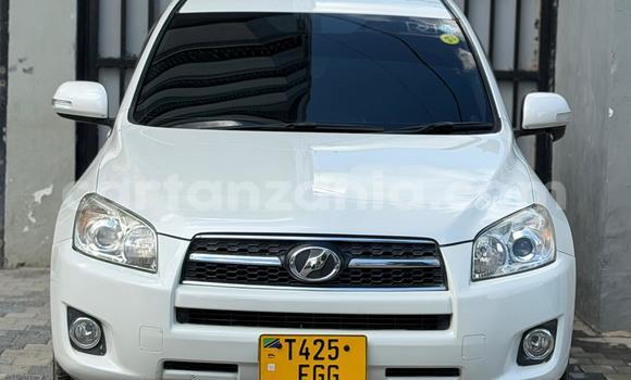 Buy Used Toyota RAV4 White Car in Dar es Salaam in Dar es Salaam
