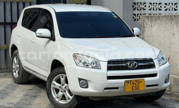 Buy Used Toyota RAV4 White Car in Dar es Salaam in Dar es Salaam Buy Used Toyota RAV4 White Car in Dar es Salaam in Dar es Salaam
