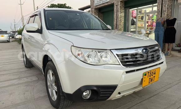 Nunua Ilio tumika Subaru Forester Nyeupe Gari ndani ya Dar es Salaam nchini Dar es Salaam Nunua Ilio tumika Subaru Forester Nyeupe Gari ndani ya Dar es Salaam nchini Dar es Salaam