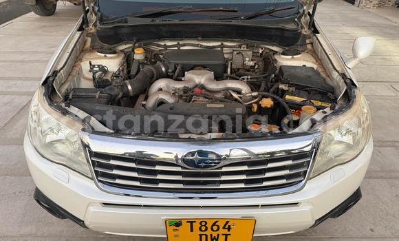 Nunua Ilio tumika Subaru Forester Nyeupe Gari ndani ya Dar es Salaam nchini Dar es Salaam Nunua Ilio tumika Subaru Forester Nyeupe Gari ndani ya Dar es Salaam nchini Dar es Salaam