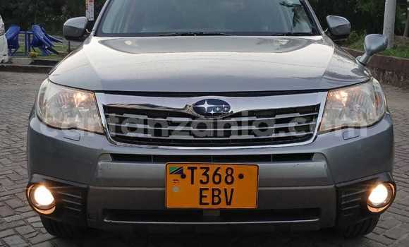 Buy Used Subaru Forester Other Car in Dar es Salaam in Dar es Salaam