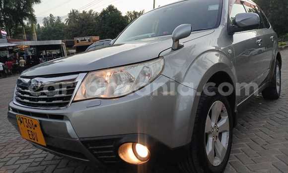 Nunua Ilio tumika Subaru Forester Nyingine Gari ndani ya Dar es Salaam nchini Dar es Salaam Nunua Ilio tumika Subaru Forester Nyingine Gari ndani ya Dar es Salaam nchini Dar es Salaam