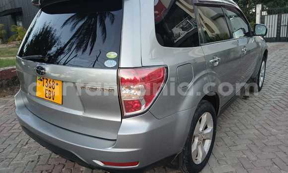 Nunua Ilio tumika Subaru Forester Nyingine Gari ndani ya Dar es Salaam nchini Dar es Salaam Nunua Ilio tumika Subaru Forester Nyingine Gari ndani ya Dar es Salaam nchini Dar es Salaam