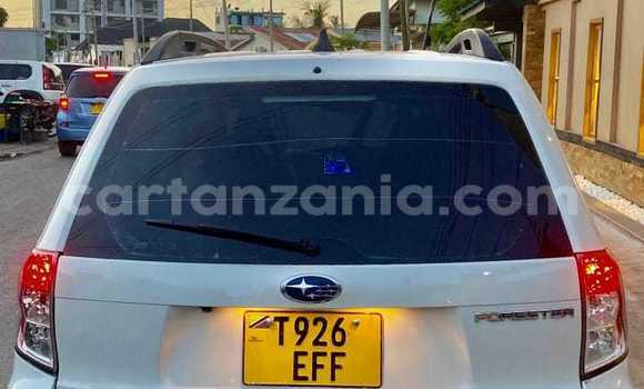 Buy Used Subaru Forester White Car in Dar es Salaam in Dar es Salaam