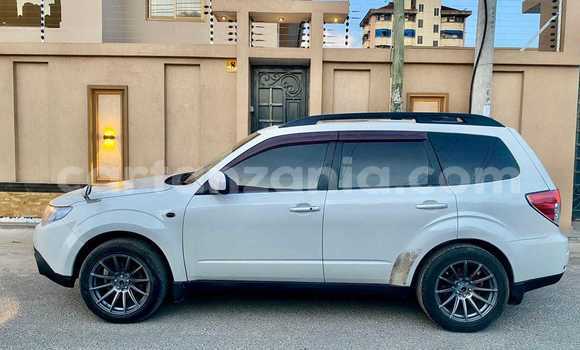 Buy Used Subaru Forester White Car in Dar es Salaam in Dar es Salaam Buy Used Subaru Forester White Car in Dar es Salaam in Dar es Salaam