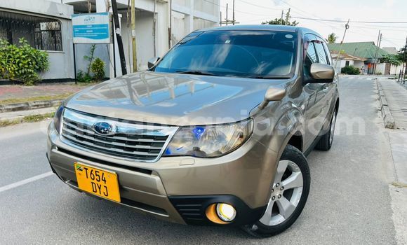 Nunua Ilio tumika Subaru Forester Nyingine Gari ndani ya Dar es Salaam nchini Dar es Salaam Nunua Ilio tumika Subaru Forester Nyingine Gari ndani ya Dar es Salaam nchini Dar es Salaam