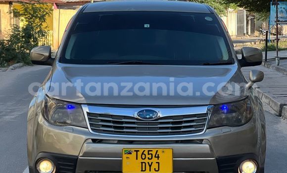 Nunua Ilio tumika Subaru Forester Nyingine Gari ndani ya Dar es Salaam nchini Dar es Salaam Nunua Ilio tumika Subaru Forester Nyingine Gari ndani ya Dar es Salaam nchini Dar es Salaam