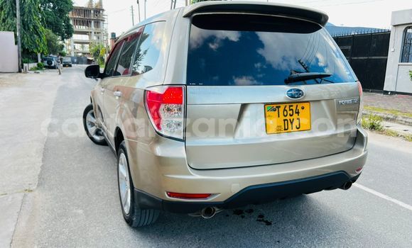 Nunua Ilio tumika Subaru Forester Nyingine Gari ndani ya Dar es Salaam nchini Dar es Salaam Nunua Ilio tumika Subaru Forester Nyingine Gari ndani ya Dar es Salaam nchini Dar es Salaam