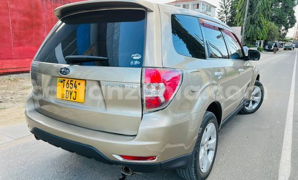 Nunua Ilio tumika Subaru Forester Nyingine Gari ndani ya Dar es Salaam nchini Dar es Salaam Nunua Ilio tumika Subaru Forester Nyingine Gari ndani ya Dar es Salaam nchini Dar es Salaam