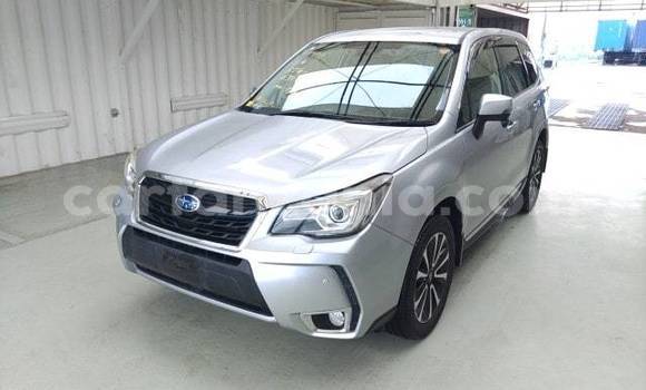 Buy Import Subaru Forester Silver Car in Dar es Salaam in Dar es Salaam Buy Import Subaru Forester Silver Car in Dar es Salaam in Dar es Salaam