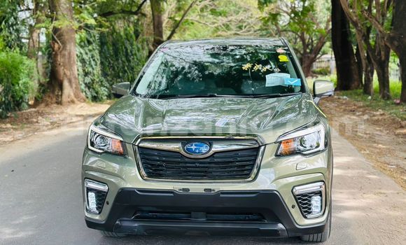 Buy Used Subaru Forester Green Car in Dar es Salaam in Dar es Salaam Buy Used Subaru Forester Green Car in Dar es Salaam in Dar es Salaam
