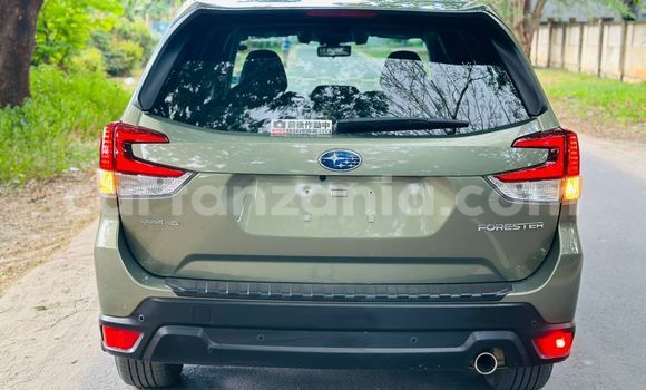 Buy Used Subaru Forester Green Car in Dar es Salaam in Dar es Salaam Buy Used Subaru Forester Green Car in Dar es Salaam in Dar es Salaam