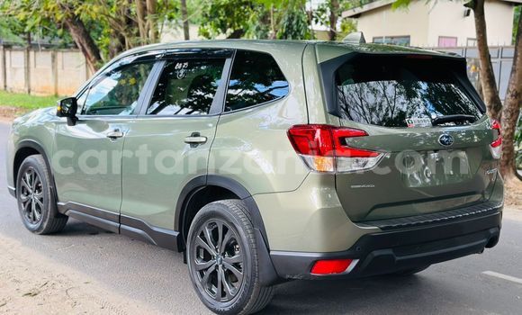 Buy Used Subaru Forester Green Car in Dar es Salaam in Dar es Salaam Buy Used Subaru Forester Green Car in Dar es Salaam in Dar es Salaam