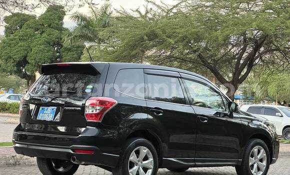 Buy Import Subaru Forester Black Car in Dar es Salaam in Dar es Salaam Buy Import Subaru Forester Black Car in Dar es Salaam in Dar es Salaam