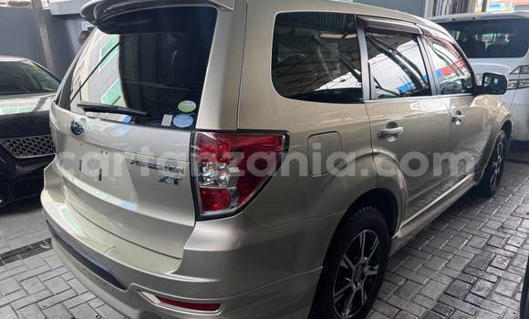Buy Import Subaru Forester Silver Car in Dar es Salaam in Dar es Salaam Buy Import Subaru Forester Silver Car in Dar es Salaam in Dar es Salaam