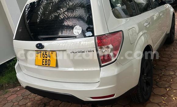 Buy Used Subaru Forester White Car in Dar es Salaam in Dar es Salaam Buy Used Subaru Forester White Car in Dar es Salaam in Dar es Salaam