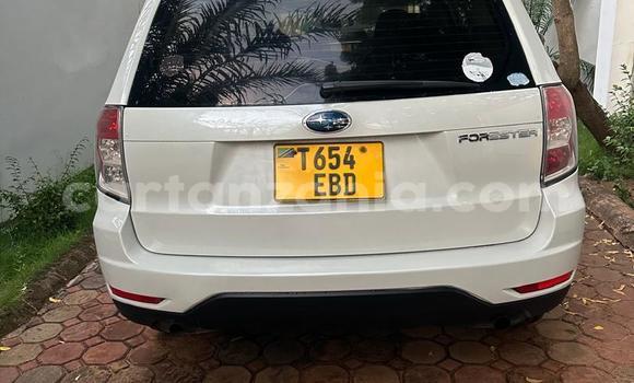 Buy Used Subaru Forester White Car in Dar es Salaam in Dar es Salaam Buy Used Subaru Forester White Car in Dar es Salaam in Dar es Salaam