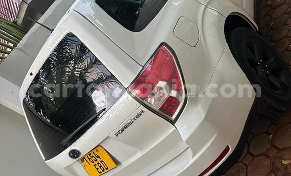 Buy Used Subaru Forester White Car in Dar es Salaam in Dar es Salaam Buy Used Subaru Forester White Car in Dar es Salaam in Dar es Salaam