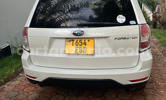Buy Used Subaru Forester White Car in Dar es Salaam in Dar es Salaam Buy Used Subaru Forester White Car in Dar es Salaam in Dar es Salaam