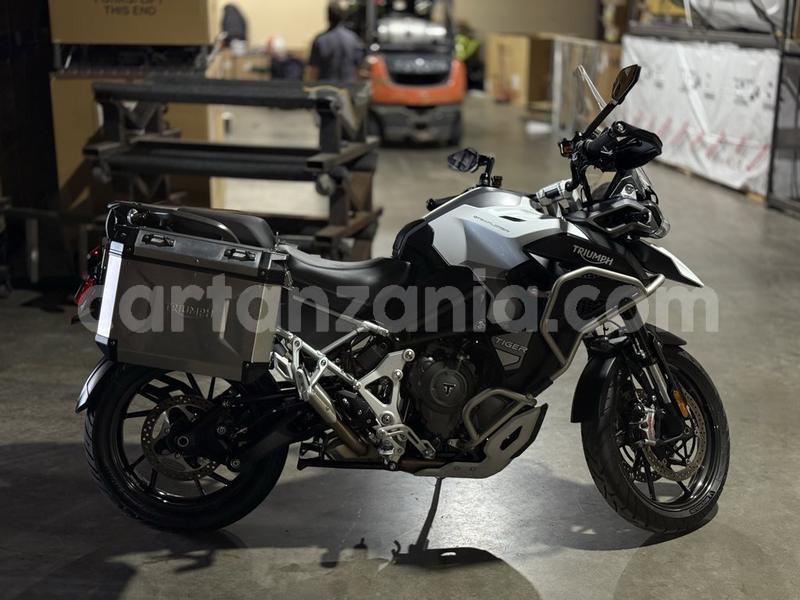 Big with watermark triumph tiger dodoma dodoma 33466