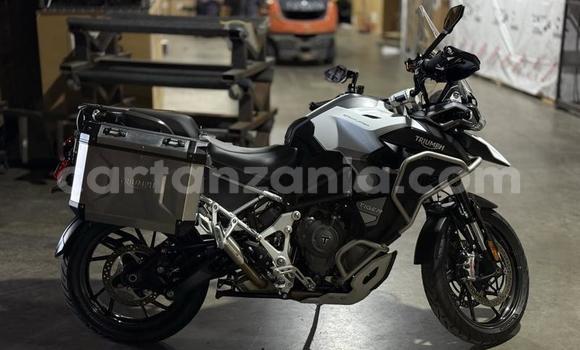 Buy Used Triumph Tiger Black Bike in Dodoma in Dodoma