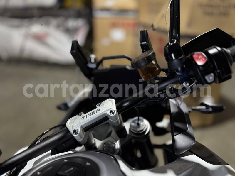 Big with watermark triumph tiger dodoma dodoma 33466