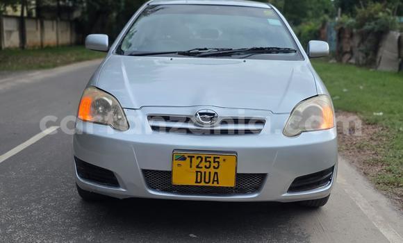 Buy Used Toyota Runx Silver Car in Dar es Salaam in Dar es Salaam