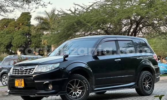 Buy Used Subaru Forester Black Car in Dar es Salaam in Dar es Salaam Buy Used Subaru Forester Black Car in Dar es Salaam in Dar es Salaam