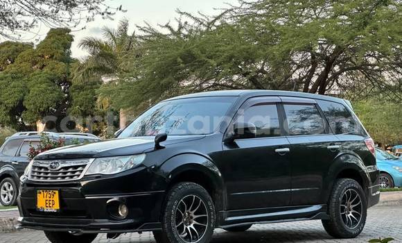 Buy Used Subaru Forester Black Car in Dar es Salaam in Dar es Salaam Buy Used Subaru Forester Black Car in Dar es Salaam in Dar es Salaam