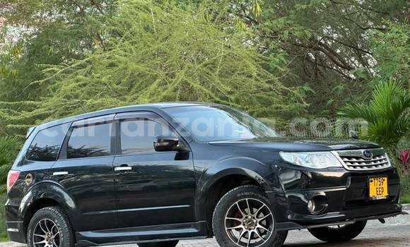 Buy Used Subaru Forester Black Car in Dar es Salaam in Dar es Salaam Buy Used Subaru Forester Black Car in Dar es Salaam in Dar es Salaam