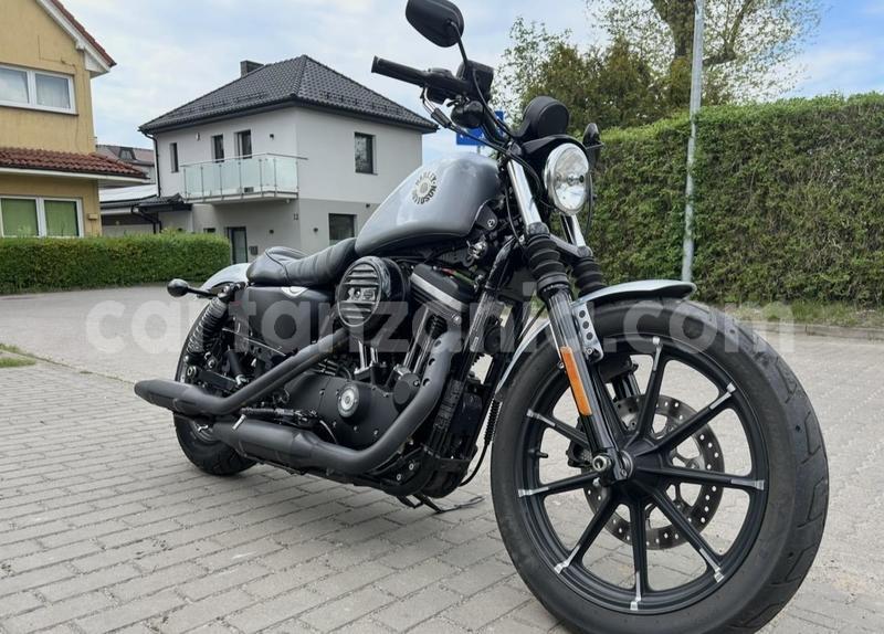 Big with watermark harley davidson iron mwanza kwimba 33510