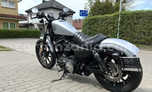 Nunua Ilio tumika Harley Davidson IRON Nyeusi Bike ndani ya Kwimba nchini Mwanza Nunua Ilio tumika Harley Davidson IRON Nyeusi Bike ndani ya Kwimba nchini Mwanza