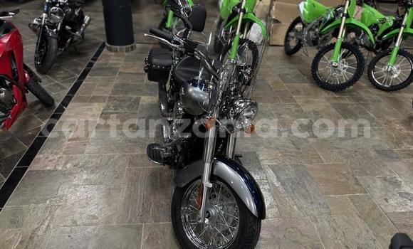 Buy Used Kawasaki Vulcan 900 Classic Black Bike in Mwanza in Mwanza Buy Used Kawasaki Vulcan 900 Classic Black Bike in Mwanza in Mwanza