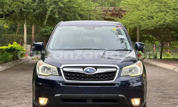 Buy Import Subaru Forester Other Car in Dar es Salaam in Dar es Salaam