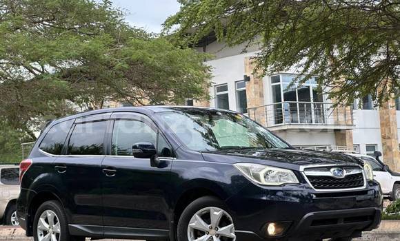 Buy Import Subaru Forester Other Car in Dar es Salaam in Dar es Salaam Buy Import Subaru Forester Other Car in Dar es Salaam in Dar es Salaam
